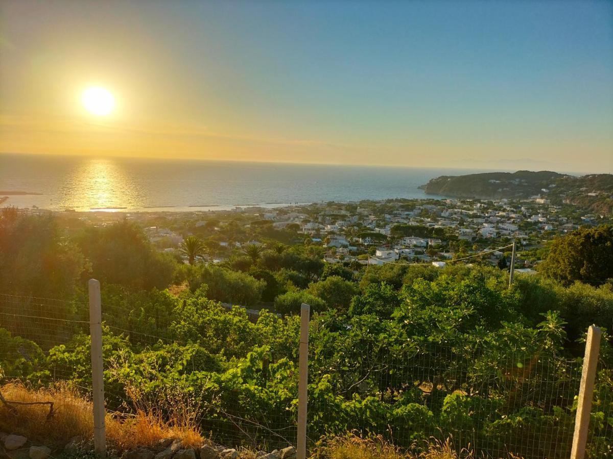 Little Ranch Ischia